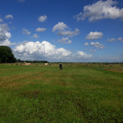 The Hilvarenbeek Recordings Album Cover